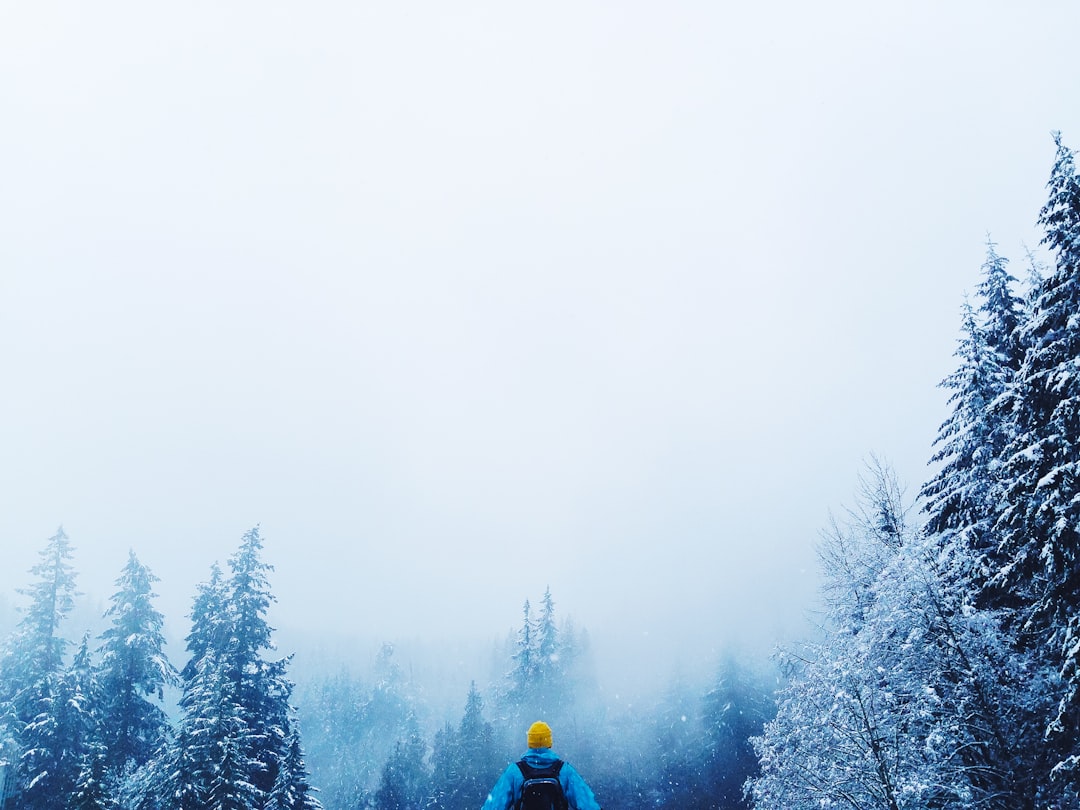 Adventure Awaits with Bluey Backpack: Your Perfect Travel Companion